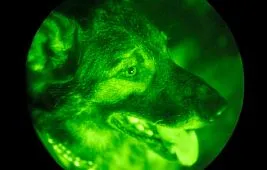 Прицелы с ночным видением: особенности и области применения