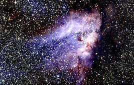 Туманность Лебедя