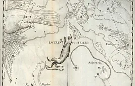 Звезды созвездия Ящерица