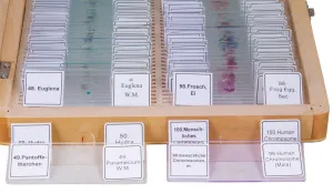 Набор микропрепаратов Bresser 100 шт., в кейсе, изображение 4