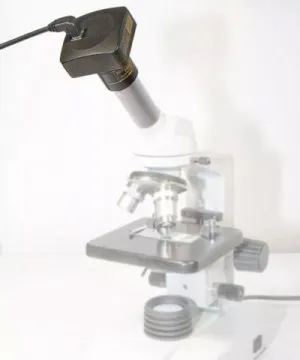 Видеоокуляр ToupCam 10 Мпикс (U3CMOS10000KPA), изображение 2