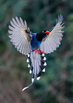 Фототелескоп Levenhuk Kelvin MAK90 AZ GOTO Wi-Fi, изображение 12