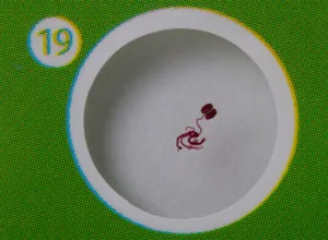 Набор микропрепаратов Levenhuk LabZZ P12, растения, изображение 6