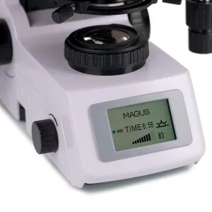 Микроскоп люминесцентный MAGUS Lum 450L, изображение 6
