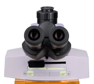 Микроскоп люминесцентный MAGUS Lum 450L, изображение 13