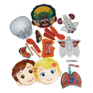Модель интерактивная Oregon Scientific «Занимательная анатомия», изображение 2